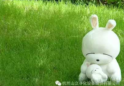 英国上市公司365净化，微信订阅号开点啦！